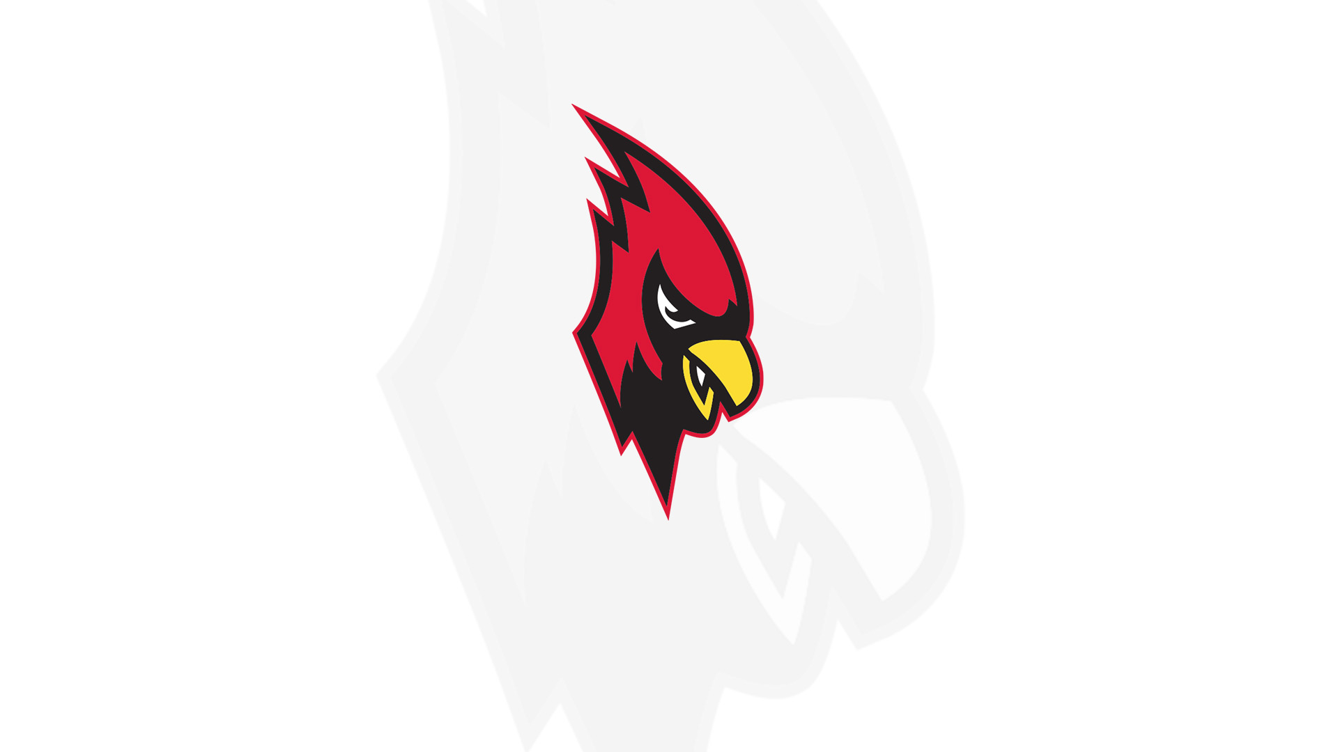 Lady Cardinals fall to Cleary University in home opener